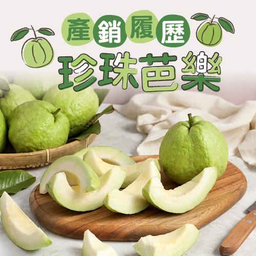 溪州產銷履歷珍珠芭樂2箱(5台斤;8~10顆/箱)