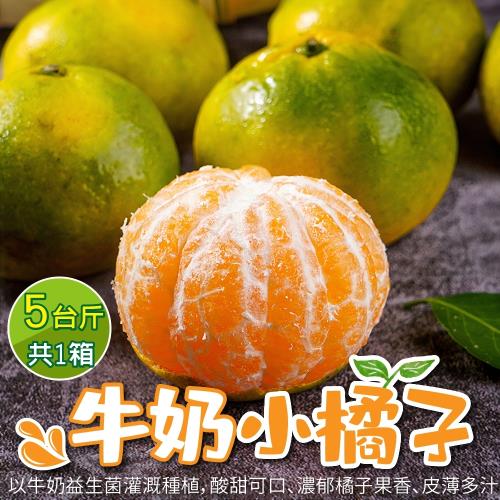 果農直配-牛奶小橘子(5台斤/箱)