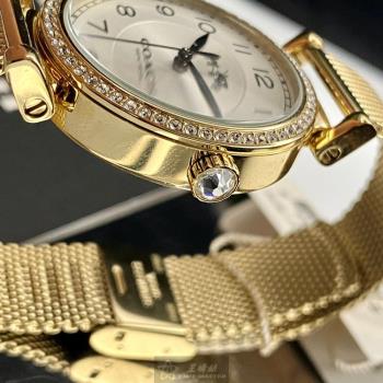 COACH 蔻馳女錶 32mm 金色圓形精鋼錶殼 白色簡約, 時分秒中三針顯示錶面款 CH00061