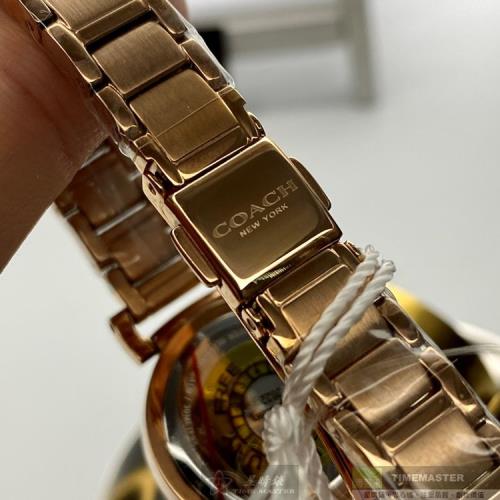 COACH 蔻馳女錶 24mm 玫瑰金圓形精鋼錶殼 白色簡約, 鑽圈錶面款 CH00030