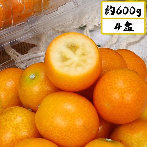 愛蜜果 台灣產 日本金桔 甜橘 / 一口柑 4盒(約600克/每盒)箱裝