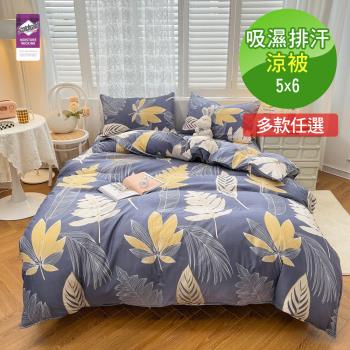 VIXI 吸濕排汗涼被(多款任選B)