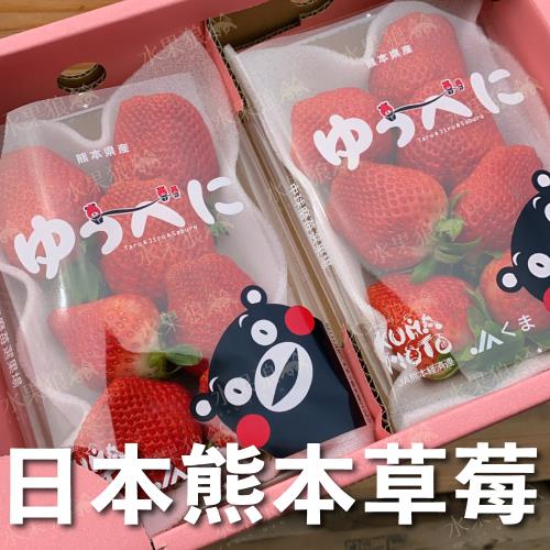 【水果狼FRUITMAN】日本熊本縣熊本草莓 一盒兩托 日本草莓