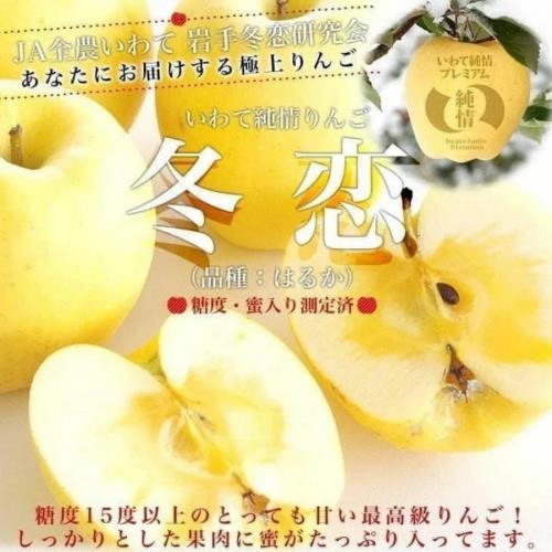 【RealShop 真食材本舖】日本稀有品種 冬戀蘋果14-16顆裝/5kg±10%/禮盒