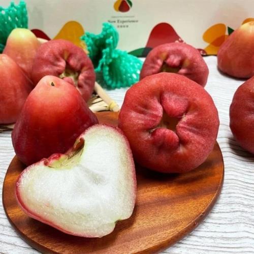 【RealShop 真食材本舖】臺灣A級黑珍珠蓮霧4kg±10%(原箱出貨)