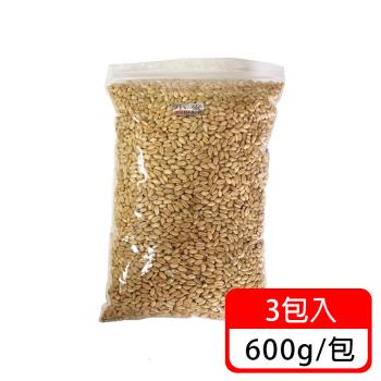 (毛寶當家)貓草種子600g*3包入 不含盆栽 小麥種子 促進腸胃蠕動 澳洲進口貓草種子