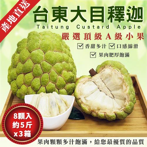 【金好迦】嚴選台東大目釋迦x3箱 (A級小果6~8顆/5斤) 台東綠寶石 產地直送