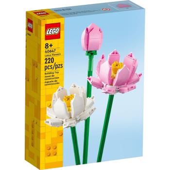 LEGO樂高積木 40647 202401 Flowers系列 - Lotus Flowers 睡蓮