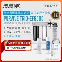 EVERPURE愛惠浦 櫥下型 PURVIVE Trio-EF6000大流量不鏽鋼龍頭三道式生飲淨水器(前置樹脂+PP)