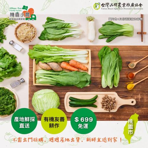 【機善小農_蔬菜箱】桃園市_經濟箱_9包(有機友善/產地鮮採直送/支持家鄉好農產)