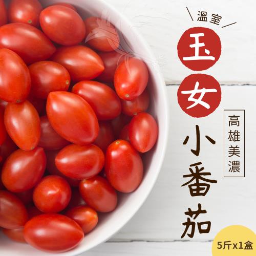 【禾鴻】高雄美濃溫室玉女小番茄5斤x1盒