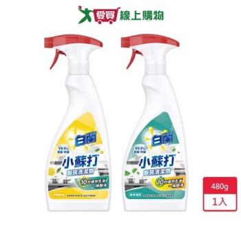 白蘭小蘇打廚房清潔劑480g【愛買】
