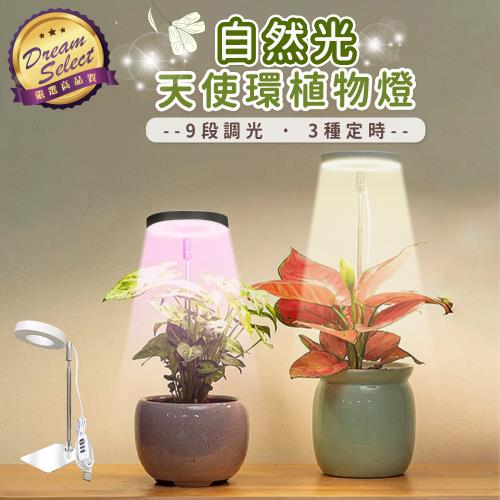 【DREAMSELECT】天使環植物燈 (自然光/紫光) 植物燈 天使環植物燈 植物生長燈 植物日照燈 補光燈 多肉植物燈 盆栽燈 天使環燈 LED燈