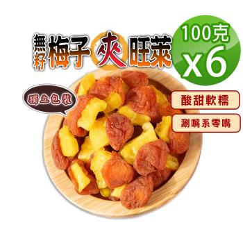 【蔘大王】無籽梅子包旺萊（100gX6）梅肉 梅餅 梅子 青梅 蜜餞 梅乾 鳳梨乾 單片包裝