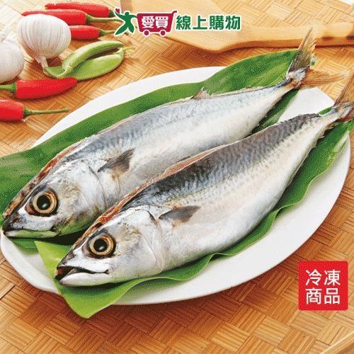 台灣南方澳鹹鯖魚/尾【愛買冷凍】