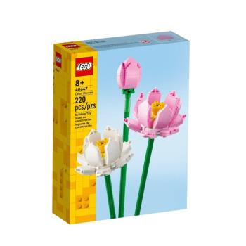 【LEGO 樂高】#40647 CREATOR系列 蓮花