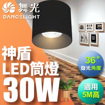 【舞光】30W 神盾筒燈 光束角36度 壓鑄鋁散熱快 全電壓 一體成形(時尚白/貴族黑)