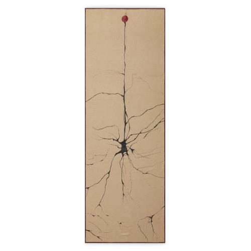 [Manduka] Yogitoes 2.0 瑜珈舖巾 - Roots (濕止滑瑜珈舖巾)