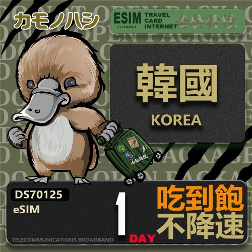 【鴨嘴獸 旅遊網卡】韓國 eSIM 單日吃到飽 高流量網卡 韓國上網卡 免換卡 高流量上網卡