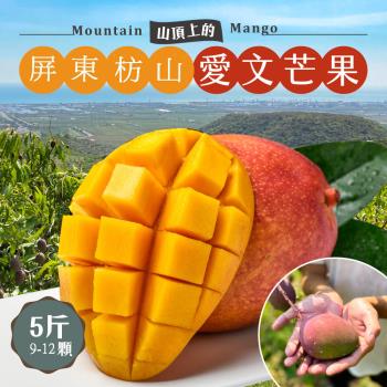 【初品果】屏東枋山愛文芒果禮盒5斤x4盒 中小果9-12顆 山頂上的愛文芒果