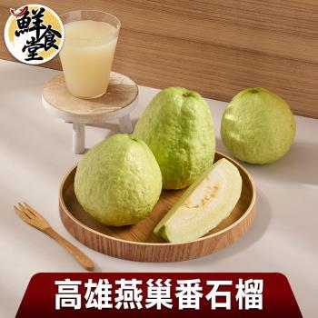 【鮮食堂X匯通】高雄燕巢番石榴4箱(3000g/6~8顆/箱)