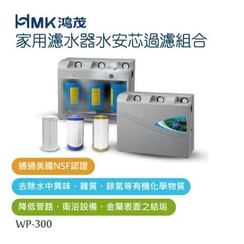 【HMK 鴻茂】 家用濾水器水安芯過濾組合(不含安裝)WP-300