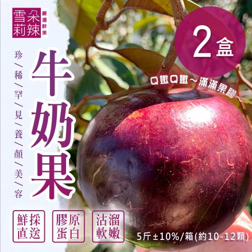【雪莉朵辣嚴選】牛奶果(5斤/箱)x2