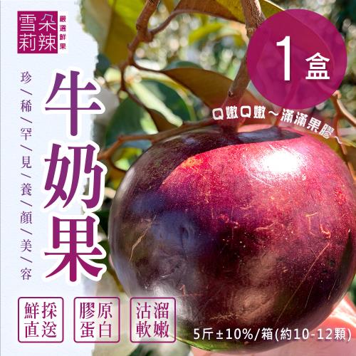 【雪莉朵辣嚴選】牛奶果(5斤/箱)x1