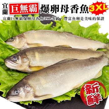 海肉管家-宜蘭巨無霸3XL爆卵母香魚(3-5尾 920g/盒)