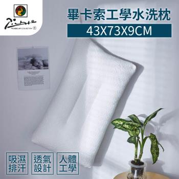 【家購網嚴選】畢卡索工學水洗枕x2入 (43x73x9cm/入)