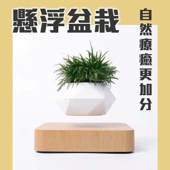 懸浮盆栽