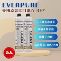 【EVERPURE】PENTAIR BH2 (2入) 濾心 濾芯 美國原廠進口   平行輸入  濱特爾