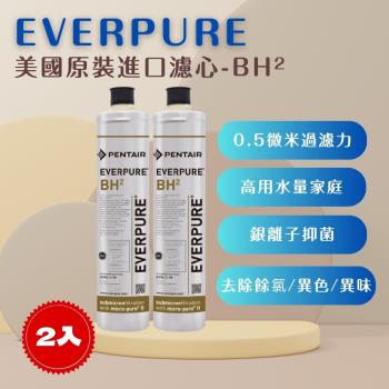 【EVERPURE】PENTAIR BH2 (2入) 濾心 濾芯 美國原廠進口   平行輸入  濱特爾