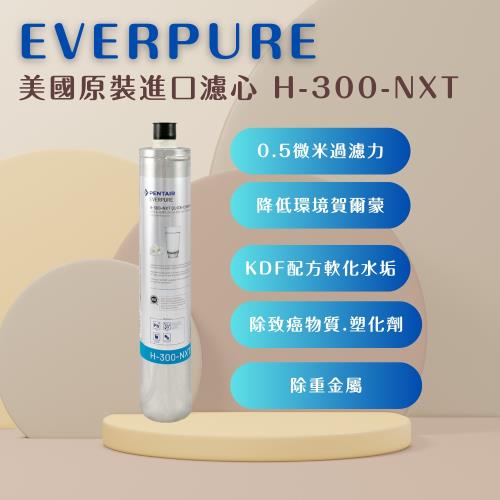 【EVERPURE】PENTAIR H300NXT (1入) 濾心 濾芯 美國原廠進口   平行輸入  濱特爾
