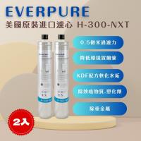 【EVERPURE】PENTAIR H300NXT (2入) 濾心 濾芯 美國原廠進口   平行輸入  濱特爾
