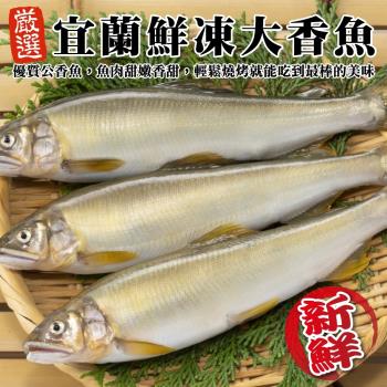 海肉管家-宜蘭鮮凍大香魚共40尾(8尾_920g/盒)