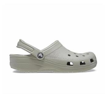 Crocs Classic Clog 男女鞋 大象灰色 克駱格 經典 洞洞鞋 涼拖鞋 100011LM