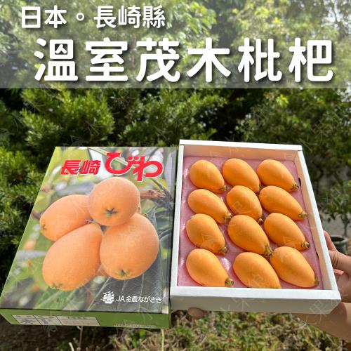 【水果狼FRUITMAN】日本長崎縣溫室茂木枇杷禮盒 8-12玉 水果禮盒