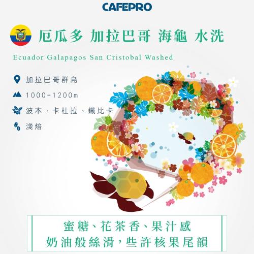 CAFEPRO厄瓜多 加拉巴哥/海龜  500公克 (水洗) (咖啡生豆)(二次篩選)