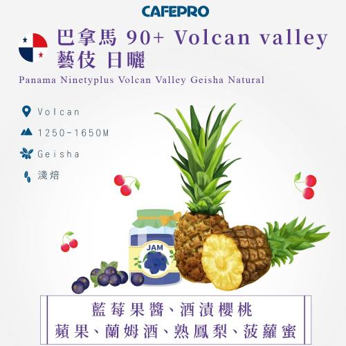 CAFEPRO 巴拿馬 90+ Volcan valley 藝伎 500公克(日曬) (咖啡生豆)(二次篩選)