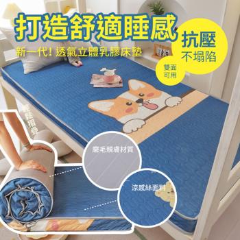 DaoDi床墊冰絲乳膠床墊-單人軟墊90x200cm(宿舍床墊 折疊床墊 涼墊)