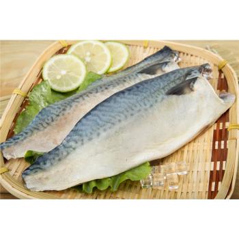 高利水產 南方澳鯖魚業務用專案組