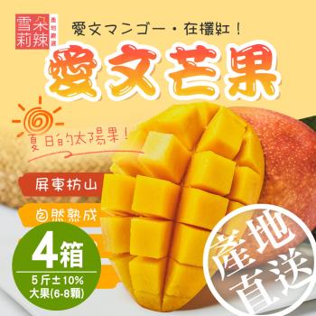 【雪莉朵辣嚴選】屏東枋山愛文芒果-五斤大果x4盒
