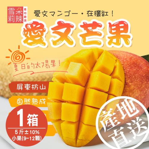 【雪莉朵辣嚴選】屏東枋山愛文芒果-五斤小果