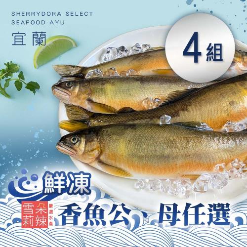 【雪莉朵辣嚴選】宜蘭鮮凍香魚公或母任選(500g/包)x4款