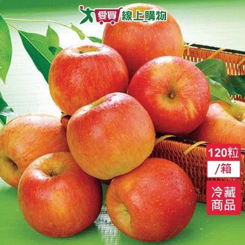 紐西蘭富士蘋果120粒/箱【愛買冷藏】