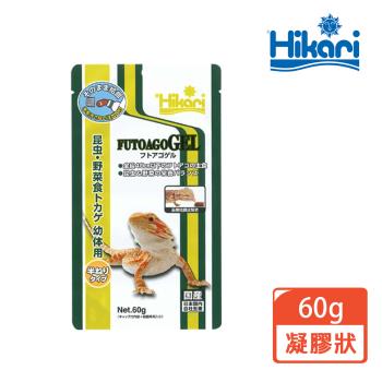 Hikari高夠力 爬蟲類專用飼料-雜食凝膠狀60g