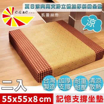 【凱蕾絲帝】臺灣製造-高支撐記憶聚合加厚紙纖坐墊/沙發墊/實木椅墊55x55cm-英倫橘(二入)