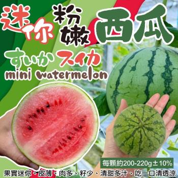 果物樂園-台灣MINE BALL迷你粉嫩西瓜8顆(約200-220g/顆)