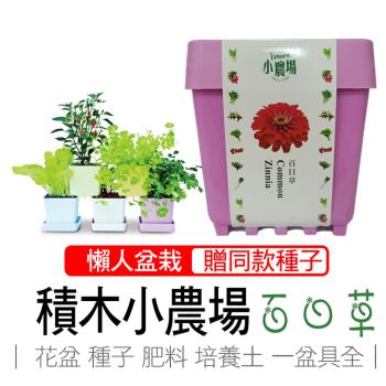 任-iPlant積木開心小農場樂活盆栽(百日草)